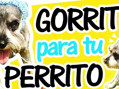 GORRITO PARA TU MASCOTA A CROCHET ¡FACIL!| Canela♥ - TO CROCHET A DOG HAT