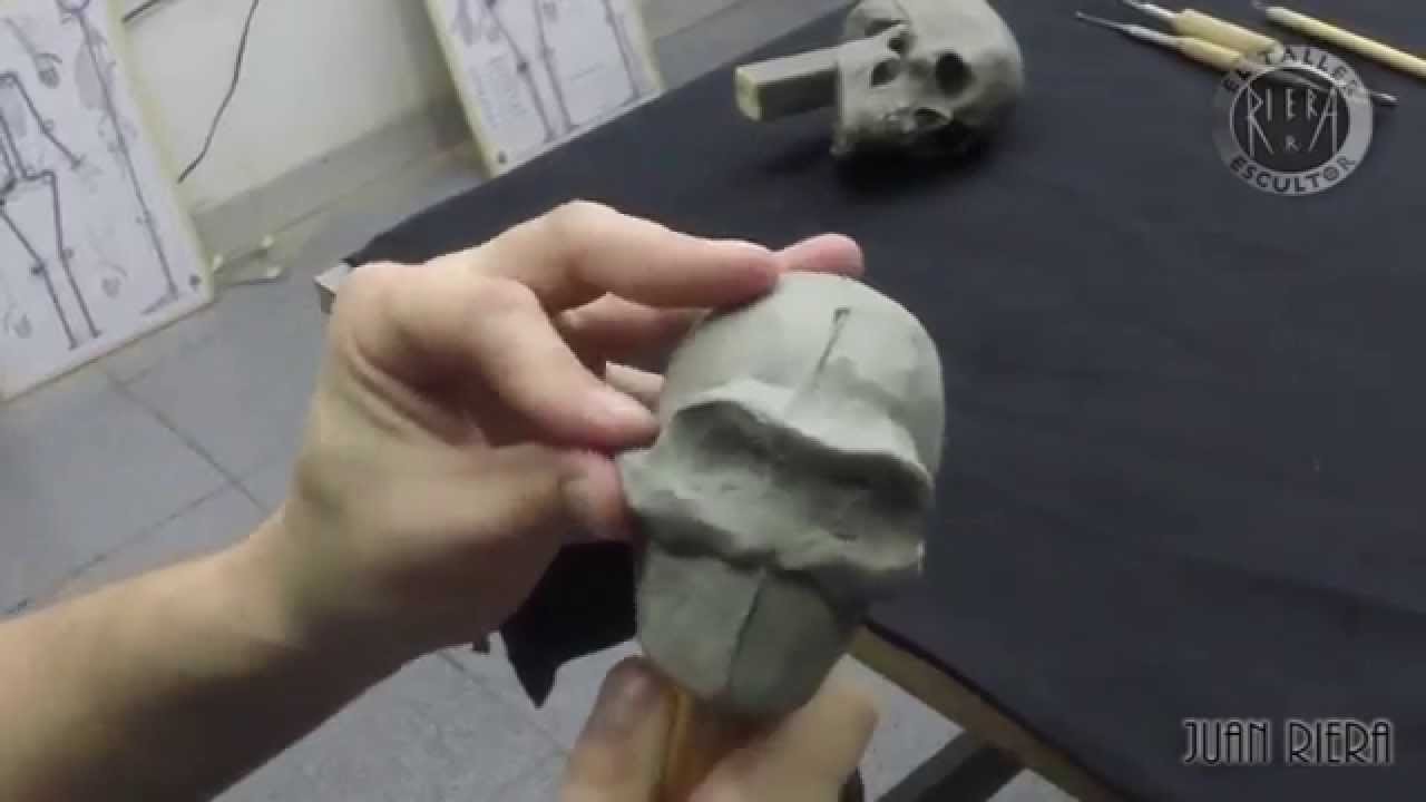 Modelado de un cráneo en plasticera parte 2