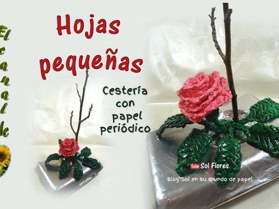 Hojas pequeñas, cestería con papel periódico - small leaves, straw with newspaper