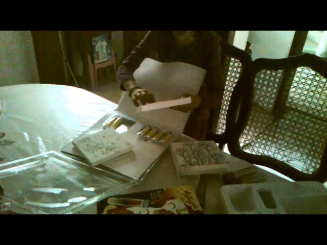 Los juguetes de la vídeo manía alucinante