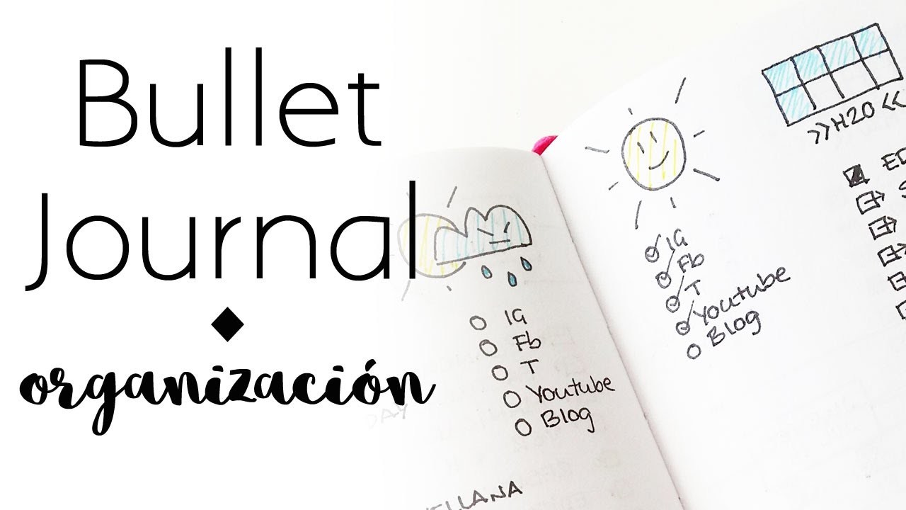 Cómo organizo el bullet journal | Bullet Journal | Organización