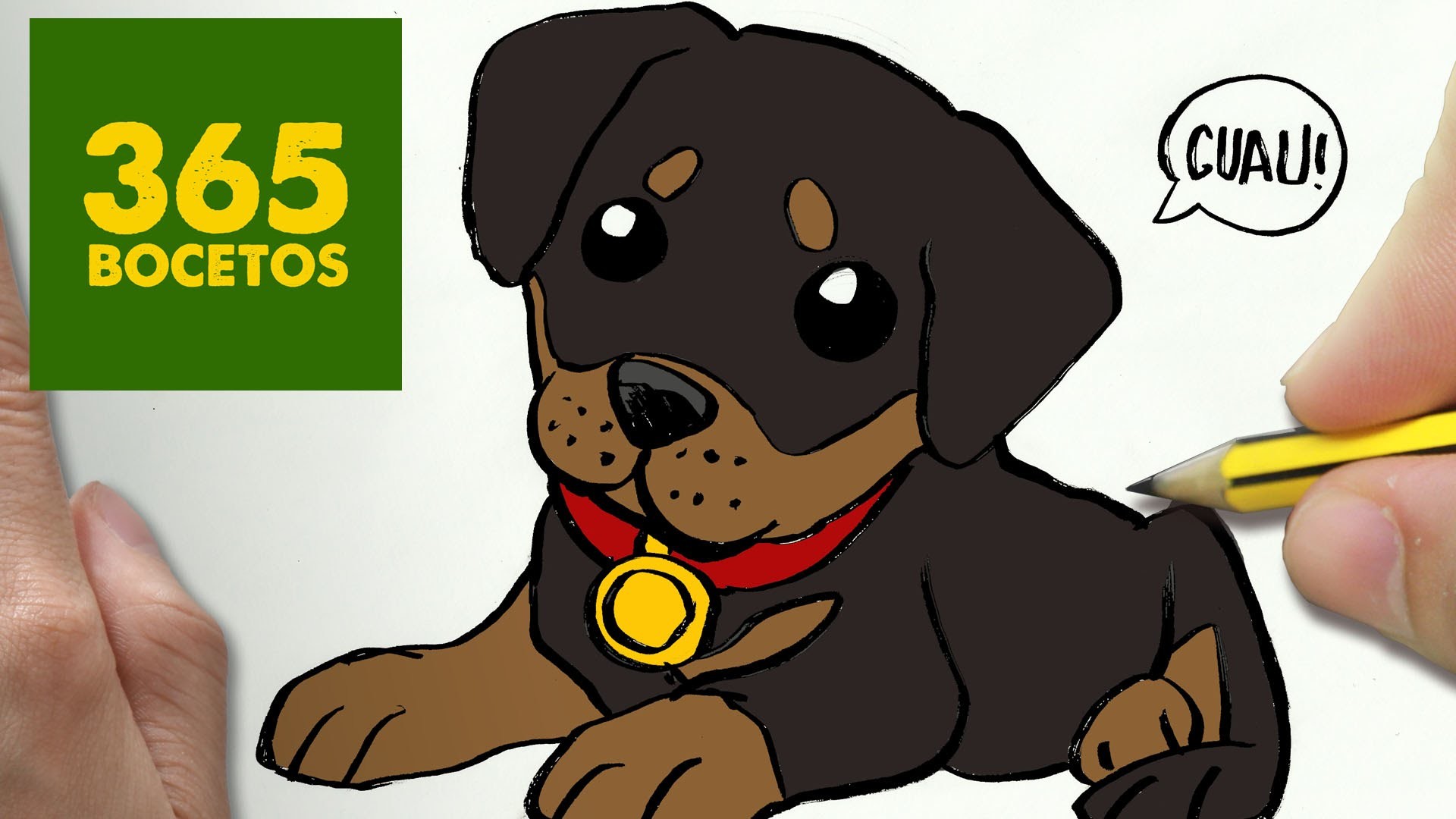 COMO DIBUJAR UN PERRO ROTTWEILER PASO A PASO: Os enseñamos a dibujar un perro fácil para niños