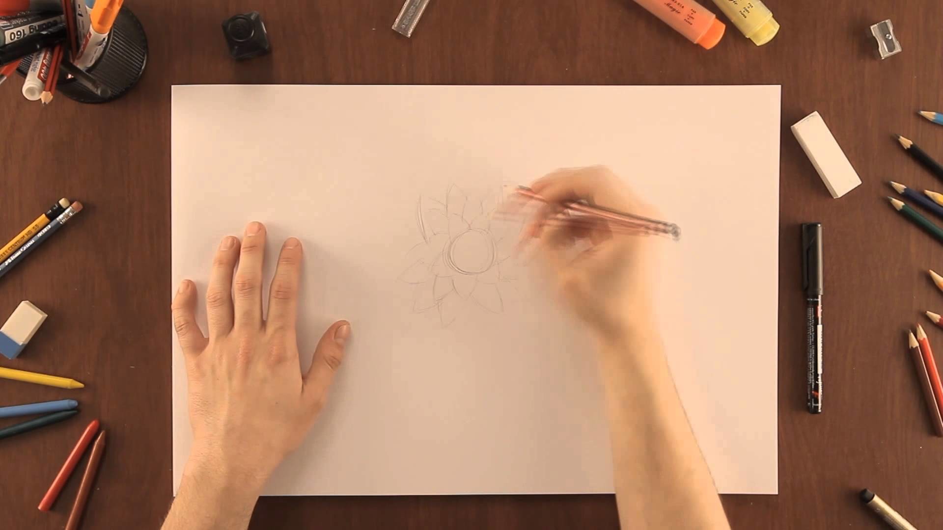 Cómo dibujar una flor de loto : Dibujos de la Naturaleza