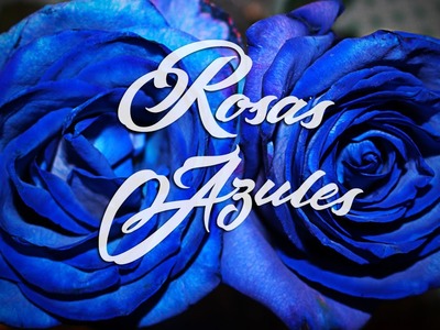 Como hacer ROSAS AZULES - DIY
