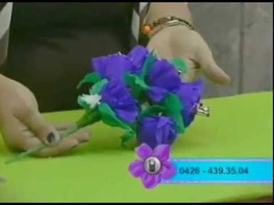 Revistero de Ideas con Eneyda. Prof. Meiber Mijares - Flores de Reciclaje