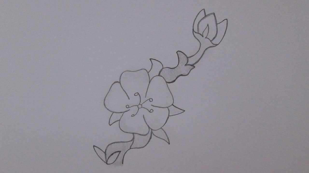 Cómo dibujar una flor de cerezo