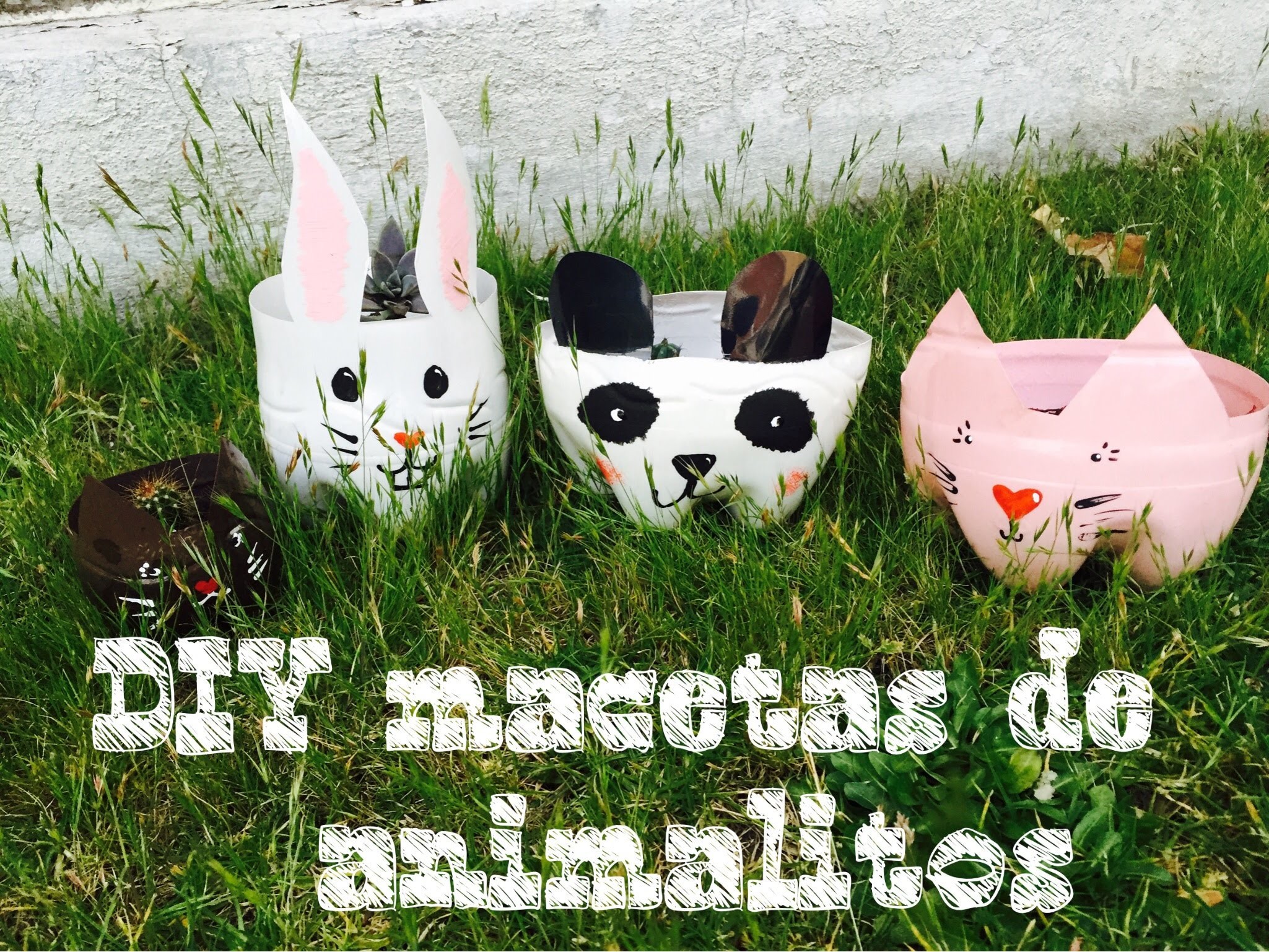 Macetas de Animalitos !!!!! DIY