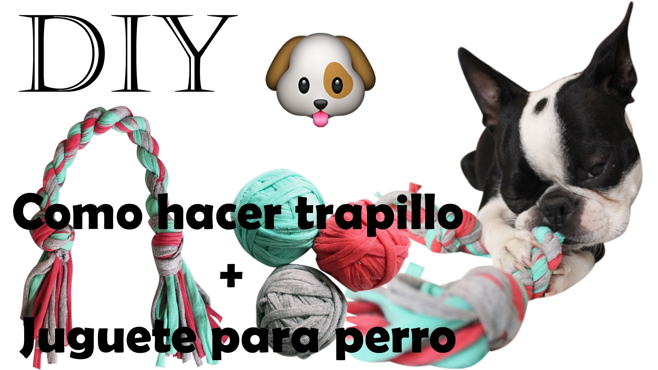 DIY ♥ Como hacer trapillo + juguete para perro fácil ♥ Reciclaje