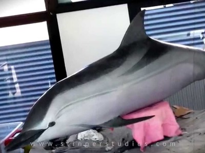 Maqueta de Delfín Listado
