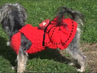 Cómo hacer vestido para perra.How to crochet a dress for dogs