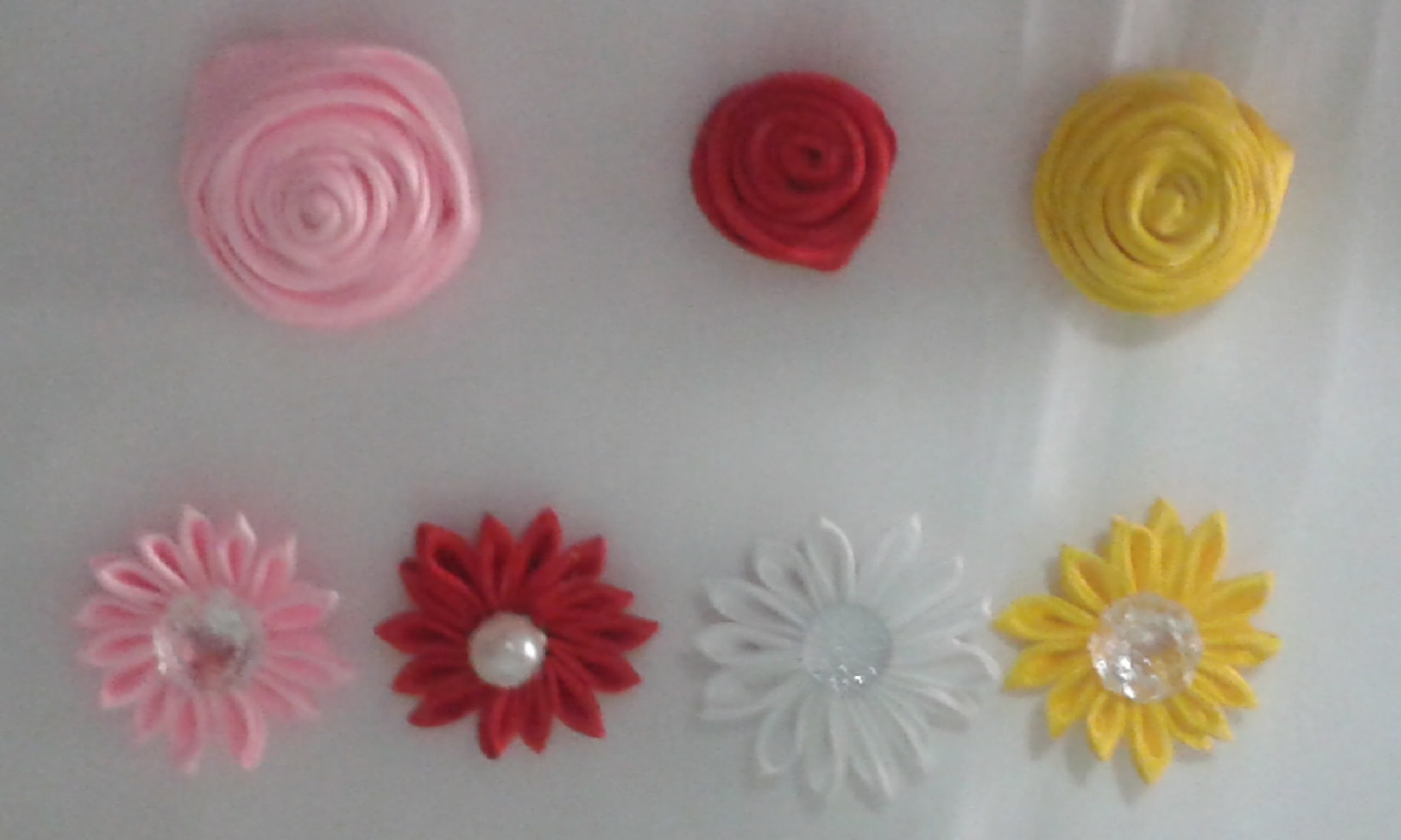 Rosas y margaritas en cinta | Marlin Fly