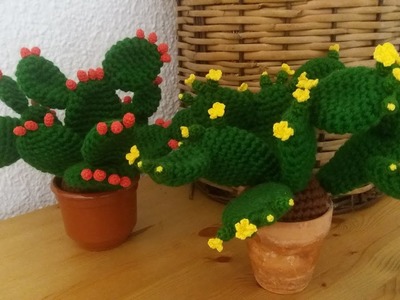 Chumbera segunda parte