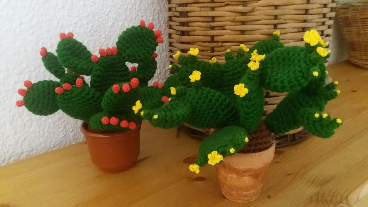 Chumbera segunda parte