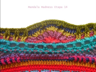 Manta Crochet Mandala Madness 14
