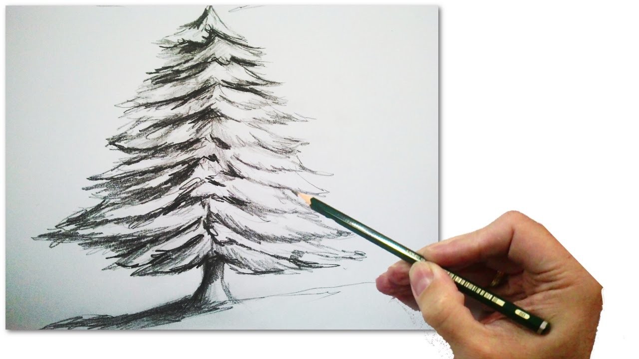 Cómo Dibujar Un Abeto o Arbol de Navidad Realista Paso a Paso a Lápiz: Tecnicas de Dibujo