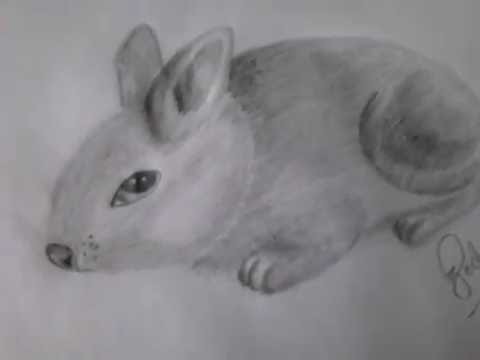 Como dibujar un conejo-rata a lapíz, con sombras facil y rapido (tutorial).