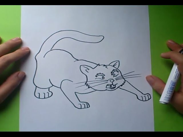 Como dibujar un gato paso a paso 5 | How to draw a cat 5