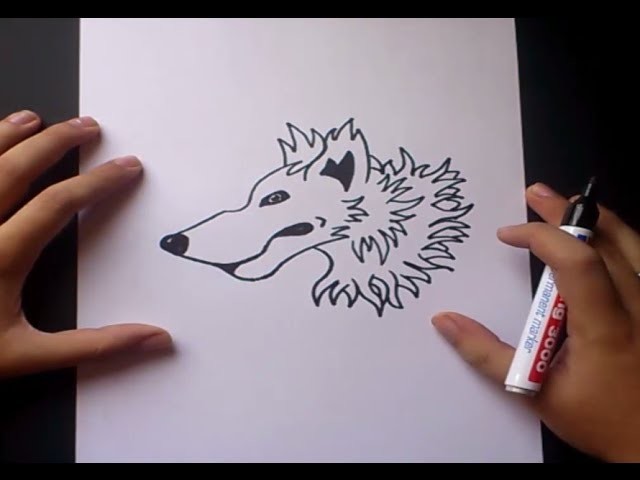 Como dibujar un lobo paso a paso, How to draw a wolf