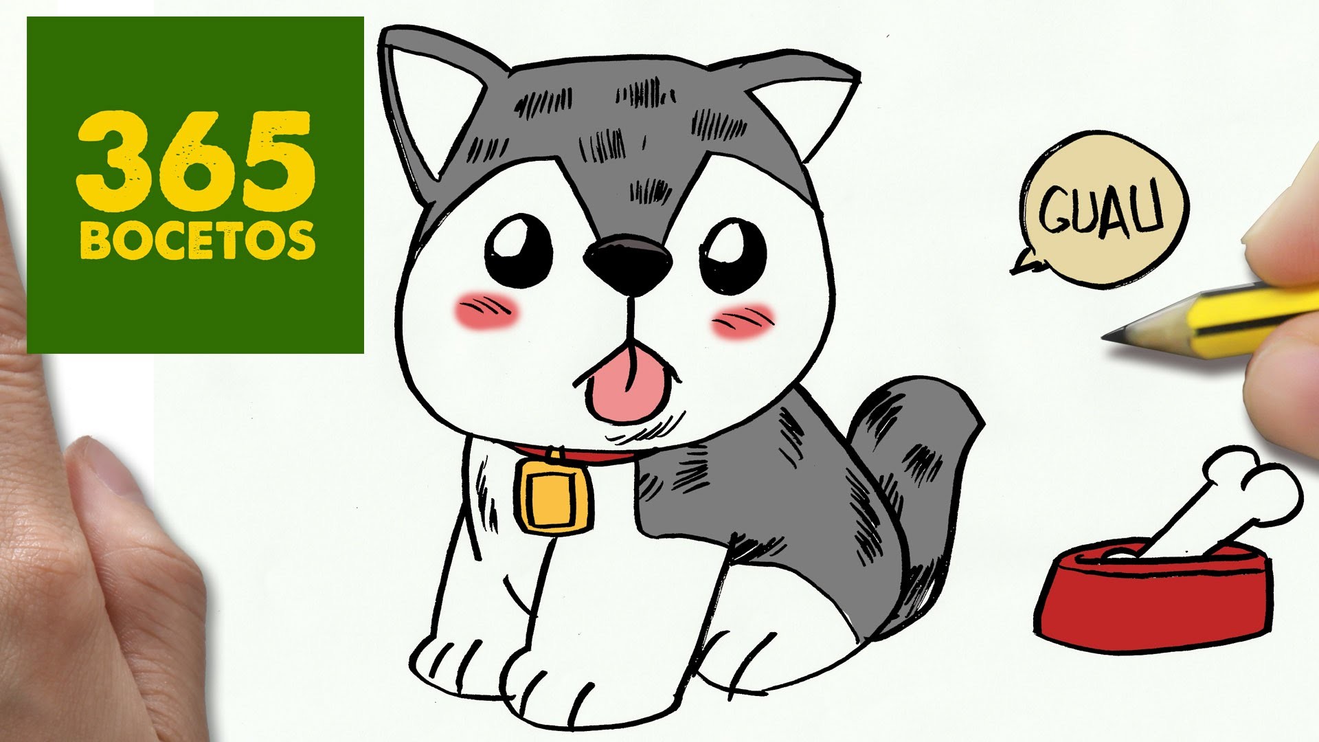 COMO DIBUJAR UN PERRO HUSKY PASO A PASO: Os enseñamos a dibujar un perro fácil para niños