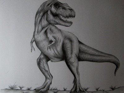 Cómo dibujar un Tiranosaurio Rex a lápiz paso a paso, cómo dibujar dinosaurios REALISTAS