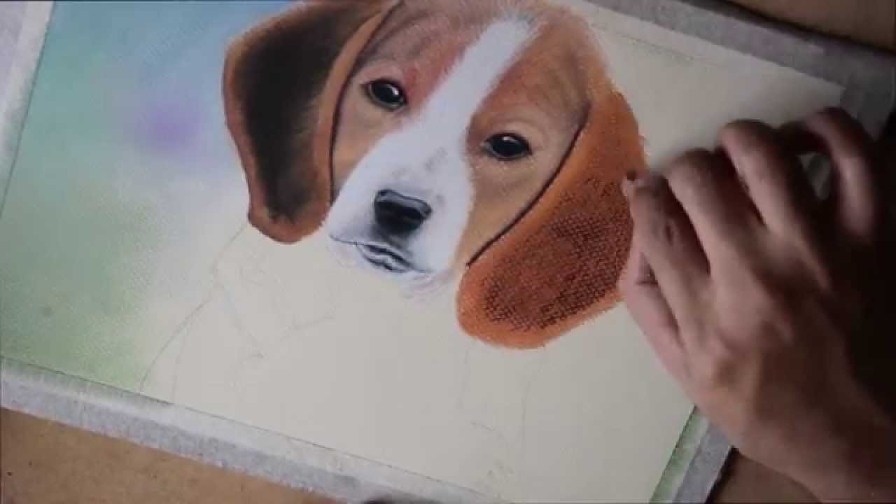 Como Dibujar y Pintar un Perro con Pastel seco Tiza Pastel