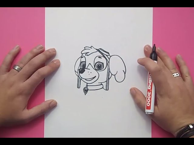 Como dibujar a Skye paso a paso - La Patrulla Canina | How to draw Skye - Canine Patrol