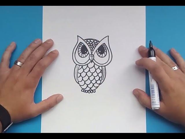 Como dibujar un buho paso a paso 3 | How to draw a owl 3