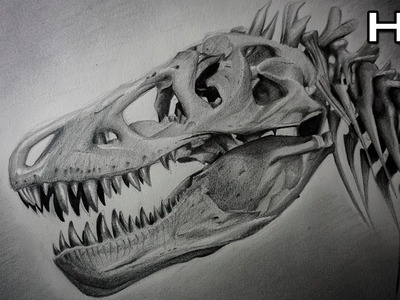 Cómo Dibujar un Cráneo de Tiranosaurio Rex Paso a Paso - Dinosaurio