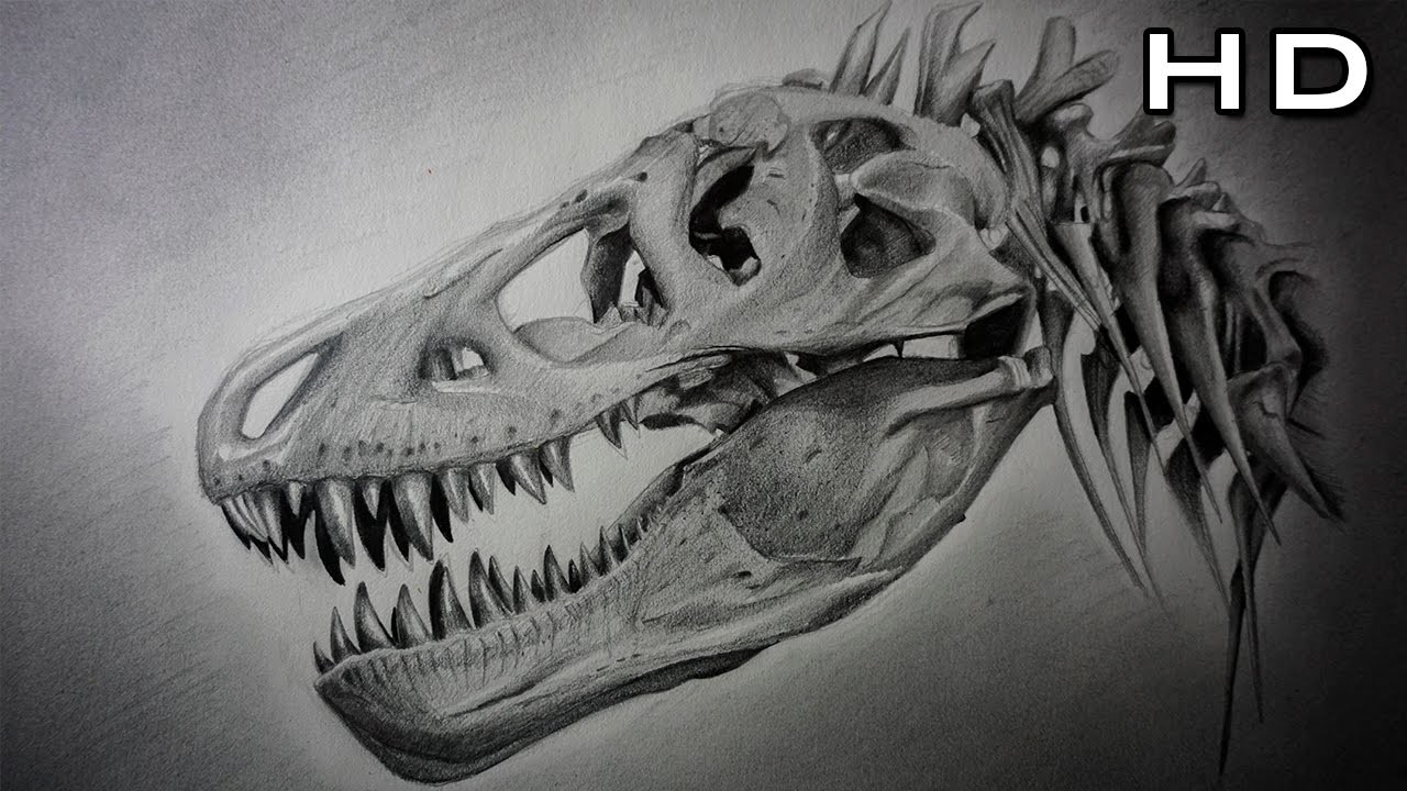 Cómo Dibujar un Cráneo de Tiranosaurio Rex Paso a Paso - Dinosaurio