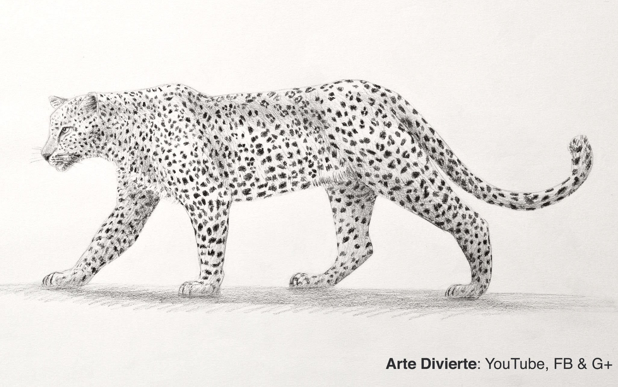 Cómo dibujar un leopardo de perfil a lápiz