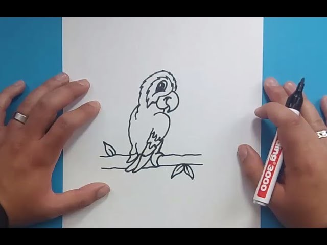 Como dibujar un loro paso a paso 4 | How to draw a parrot 4