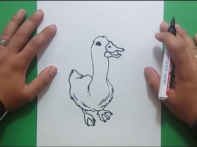 Como dibujar un pato paso a paso 8 | How to draw a duck 8