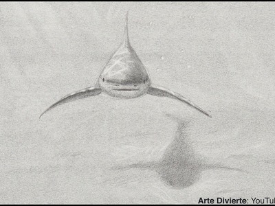 Cómo dibujar un tiburón - Boceto a lápiz