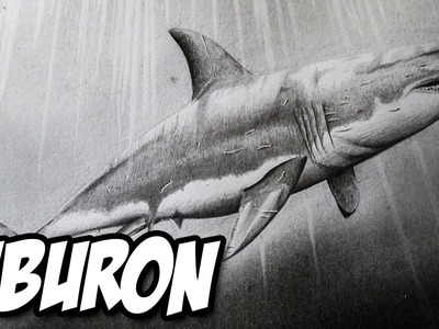 Dibujando un Tiburón Blanco a lápiz | Versión Rápida