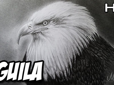 Dibujando una cabeza de Águila con lápices de grafito - Versión Rápida | Ave |