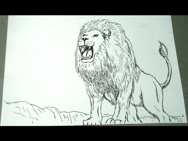 Aprende a dibujar un León africano paso a paso