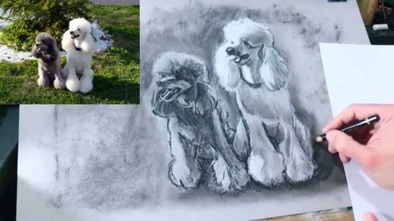 Como #Dibujar Perros a partir de Fotografias: Dibujo al Carboncillo y Tiza paso a paso