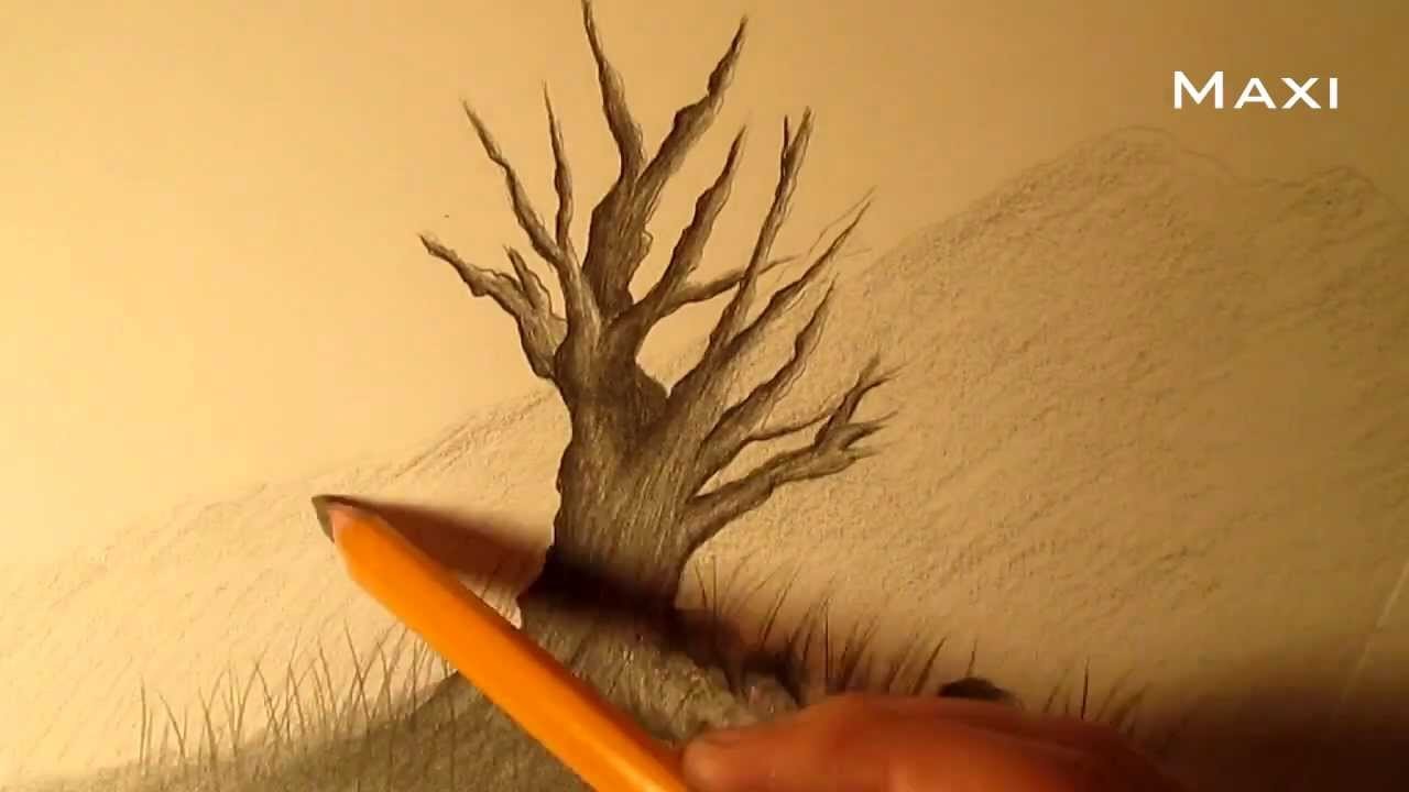 Cómo dibujar un árbol a lápiz paso a paso, cómo dibujar un árbol realista fácil a lápiz