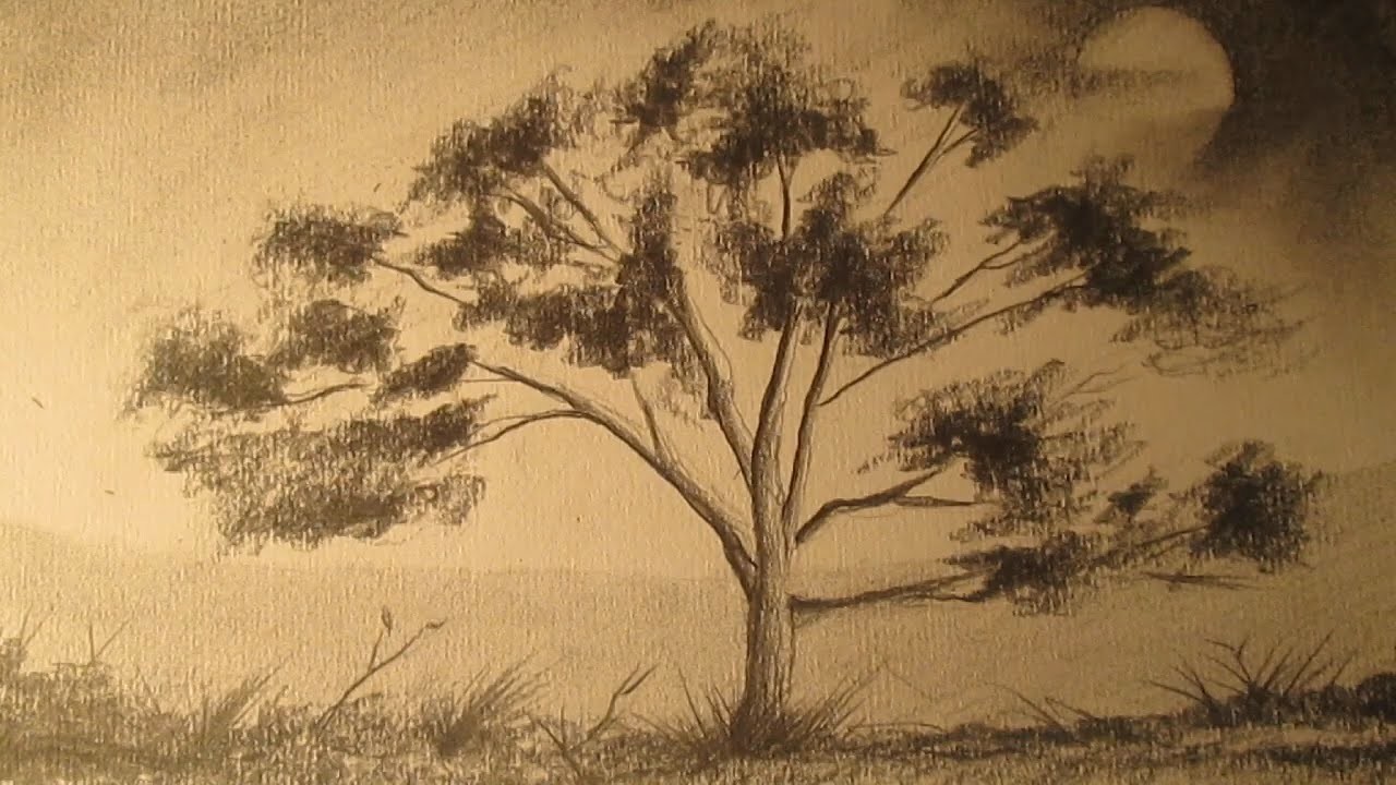 Cómo dibujar un árbol a lápiz para principiantes, dibujos de árboles para niños