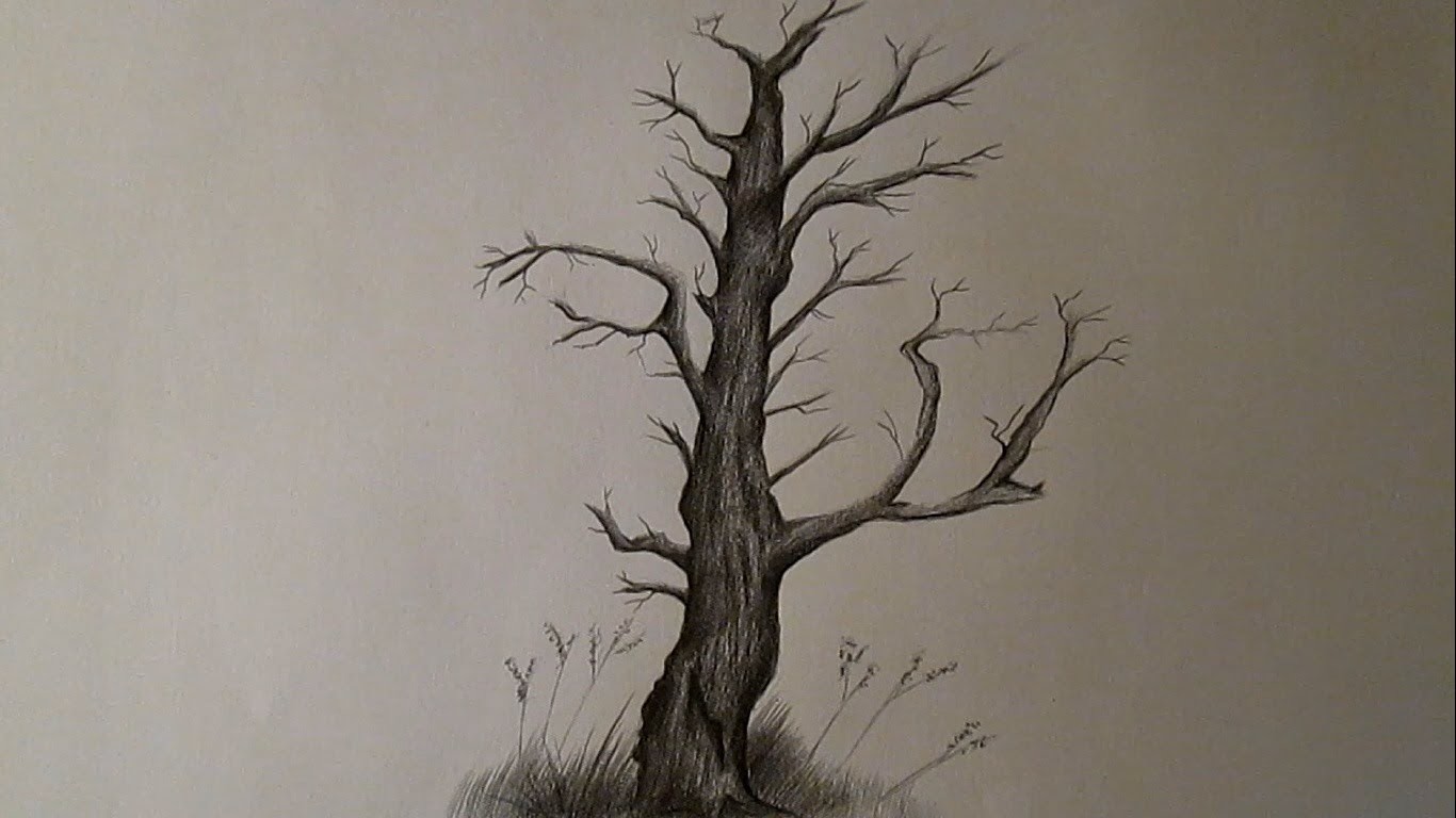 Cómo dibujar un árbol seco y sin hojas, árbol a lápiz HD