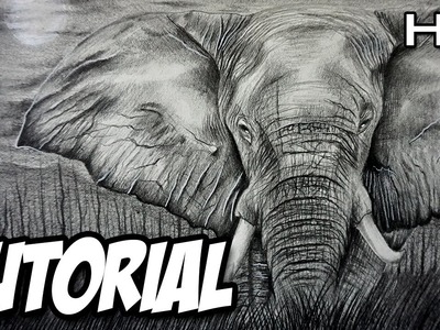 Cómo dibujar un Elefante Realista a lápiz paso a paso   Tutorial