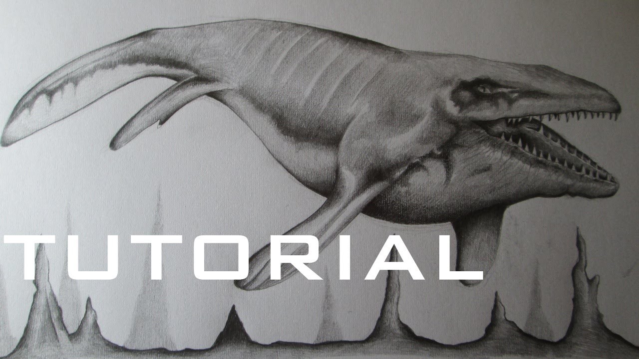 Cómo dibujar un Mosasaurus a lápiz paso a paso, cómo dibujar un reptil marino
