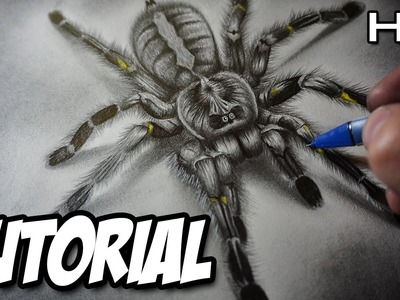 Cómo Dibujar una Araña Realista en 3D a Lápiz Paso a Paso - Tutorial