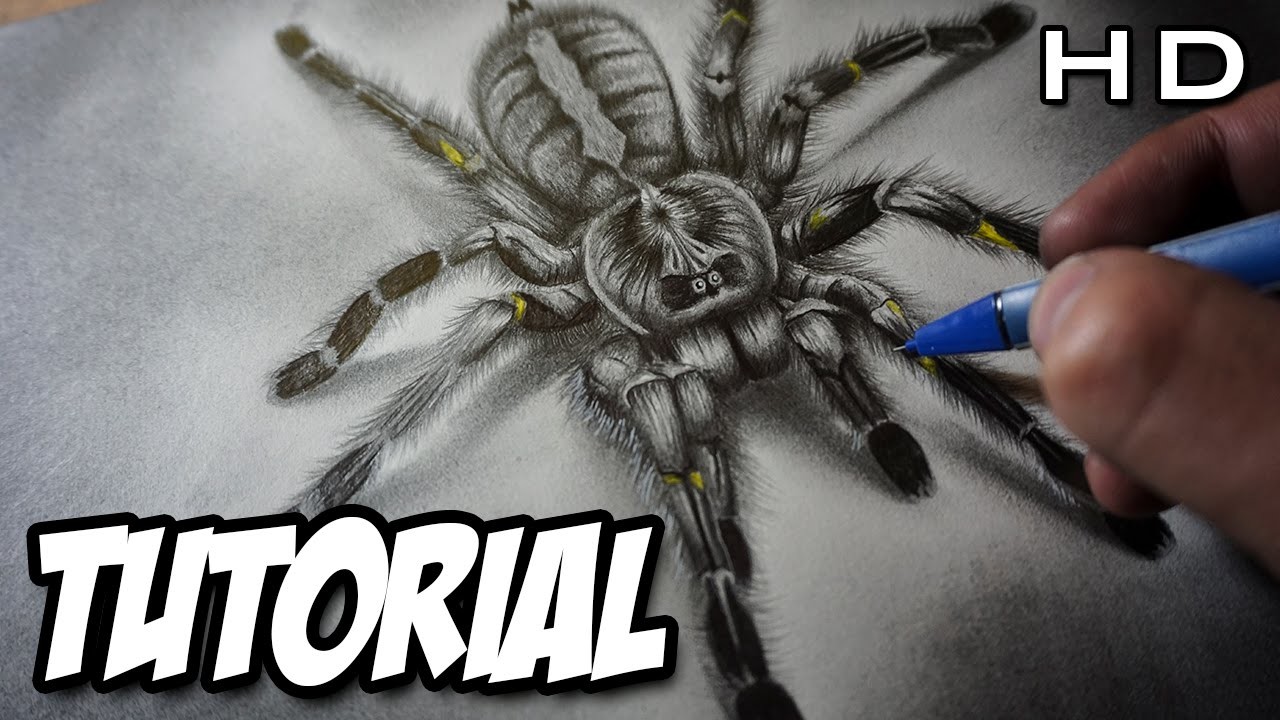 Cómo Dibujar una Araña Realista en 3D a Lápiz Paso a Paso - Tutorial