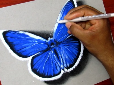 Como Dibujar Una Mariposa