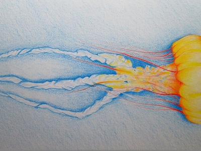 Cómo dibujar una medusa con lápices de color paso a paso, dibujando medusas