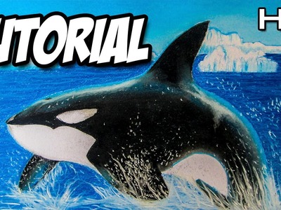 Cómo dibujar una orca paso a paso, cómo dibujar una ballena asesina con lápices pastel