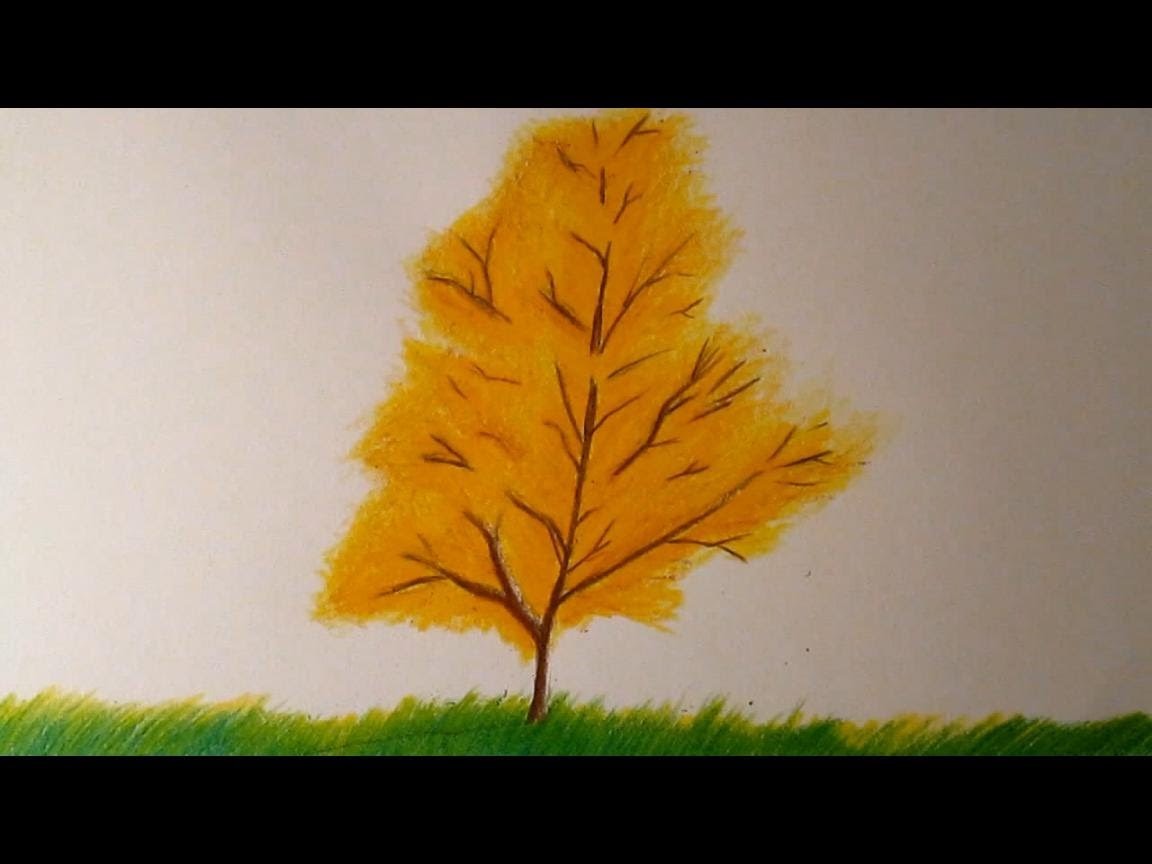 Dibujo de un árbol paso a paso HD