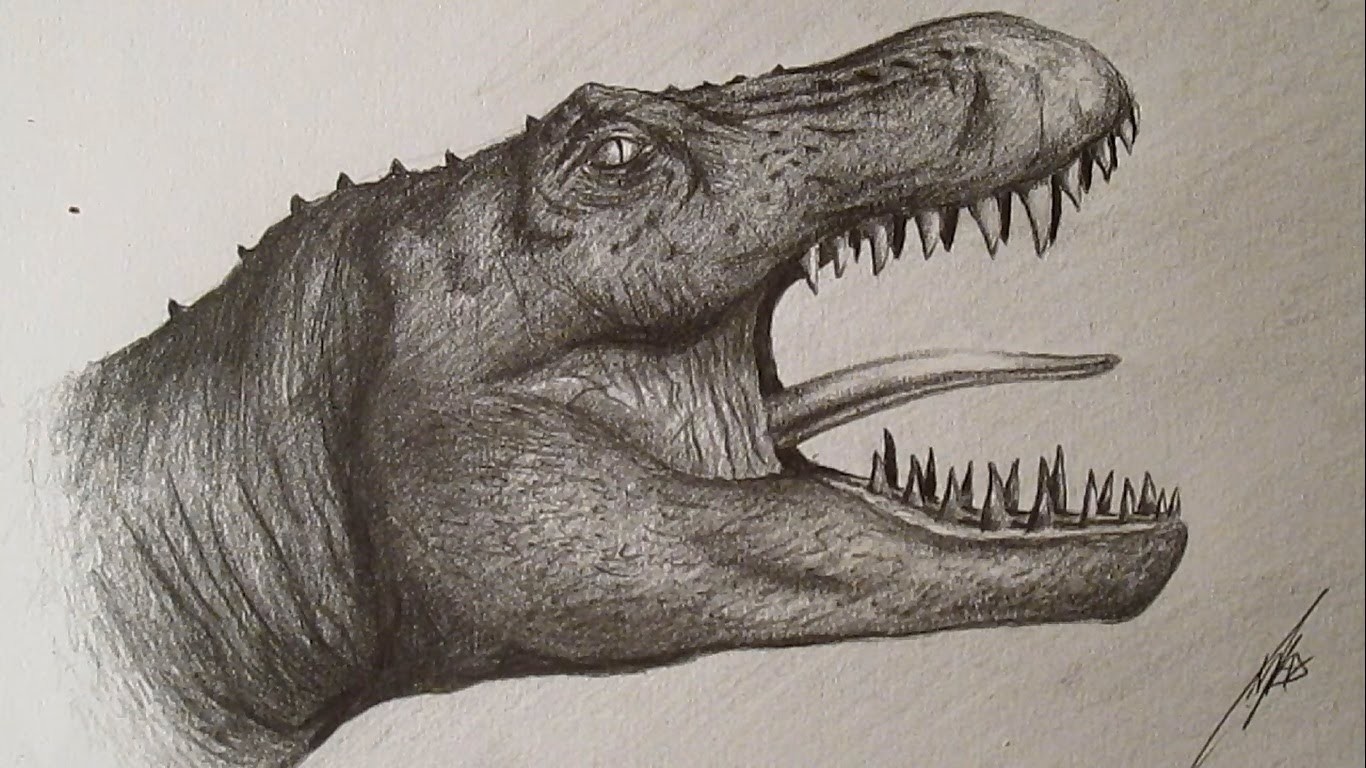 Голова тираннозавра Рекса карандашом
