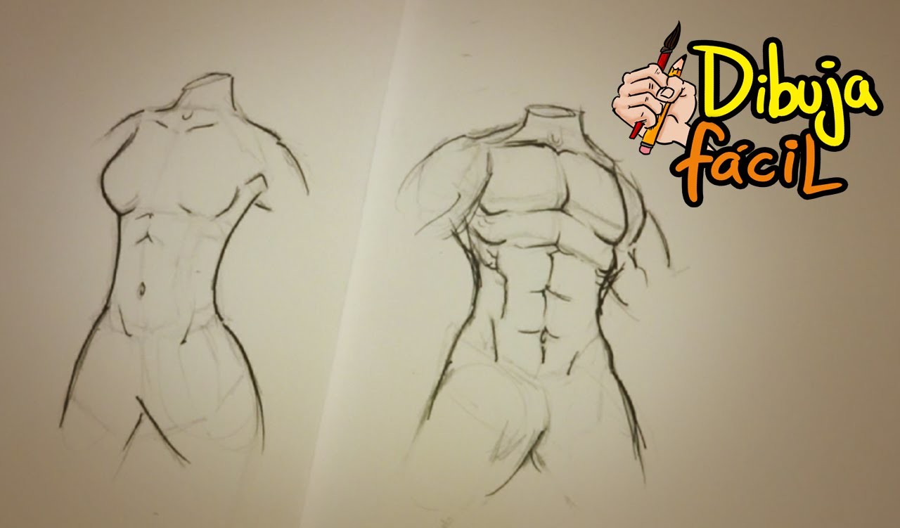 Como dibujar torso (hombre y mujer) | How to draw Torso (man & woman)